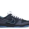 Nike Dunk Low Premium SB 'Blue Lobster' -Online Shoes Store 1 357