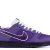 Nike Concepts X Dunk Low SB 'Purple Lobster' -Online Shoes Store 1 465