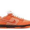Nike Concepts X Dunk Low SB 'Orange Lobster' Special Box 2 Nike Concepts X Dunk Low SB 'Orange Lobster' Special Box -Online Shoes Store 1 574
