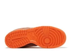 Nike Concepts X Dunk Low SB 'Orange Lobster' Special Box -Online Shoes Store 4 279